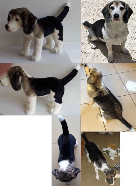 A stuffed animal can be for life, and maybe yours didn't quite make it through all the trials and tribulations of your childhood but it doesn't mean that a newly customized plush bear given. Buddy the Beagle and his Cuddle Clone :) | Custom stuffed ...