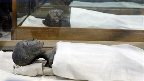 egypte découverte d une cinquantaine de momies dans une immense nécropole
