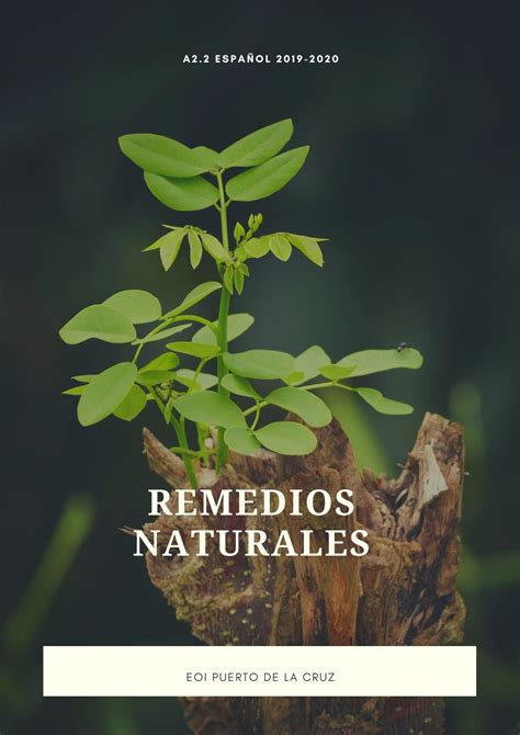 Libro De Remedios Naturales By Vicky Martín Issuu