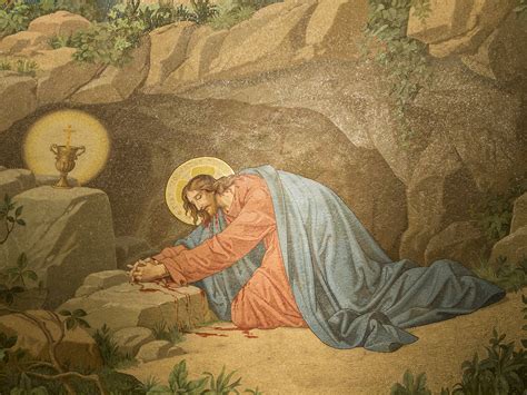 Garden Of Gethsemane Story | Fasci Garden