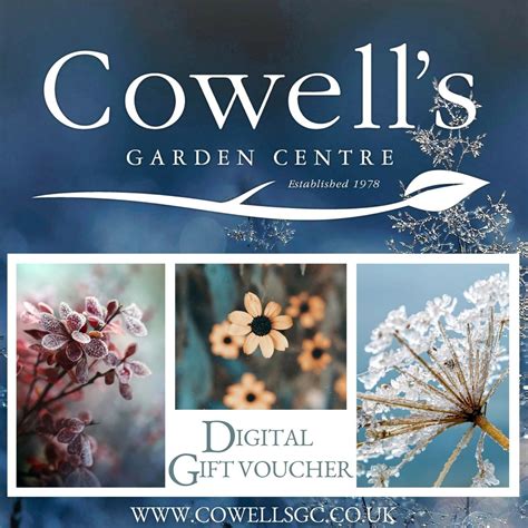 Cowells E T Voucher Winter Design Cowells Garden Centre