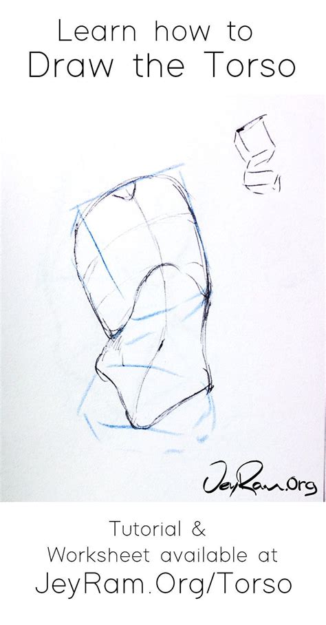 How To Draw The Torso Step By Step Tutorial Human Anatomy Drawing