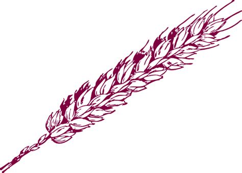 Wheat Line Drawing Free Download On Clipartmag