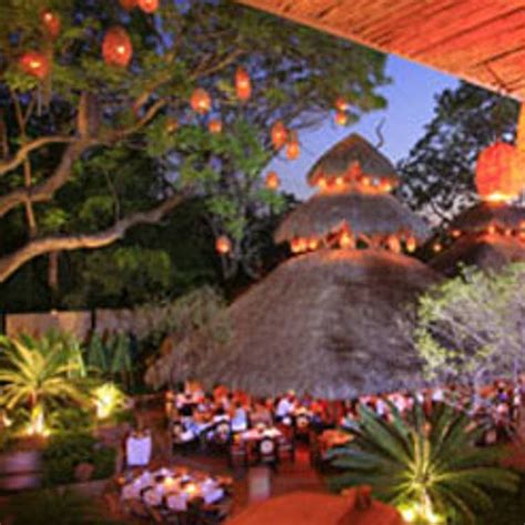 Total 84+ imagen santo coyote precio buffet desayuno - Abzlocal.mx