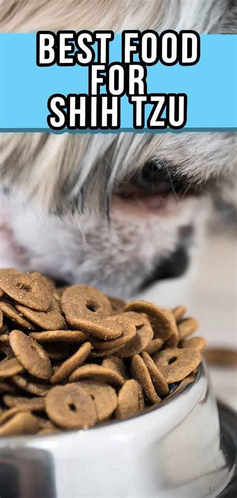 Dog nutrition can be tricky, especially when considering cooking for your pets. Best Dog Food For Shih Tzu Puppies, Adults, And Senior ...