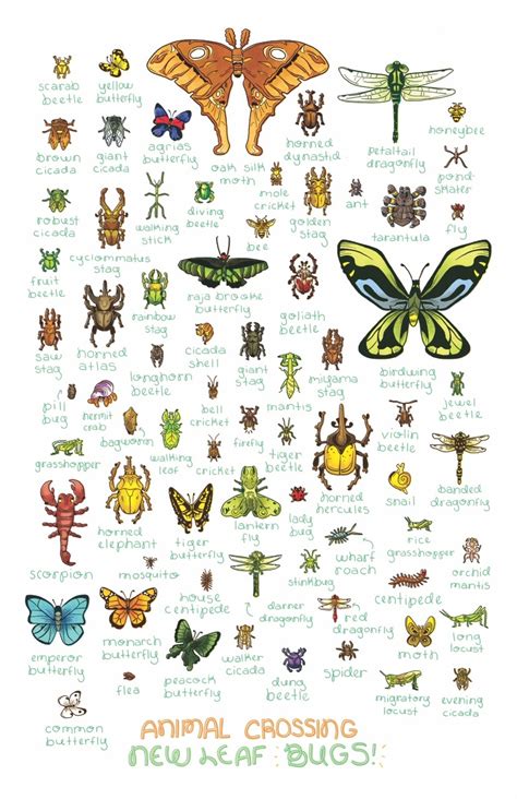 Ashley Caswell — ‪i Have Drawn All The Bugs From Animal Crossing