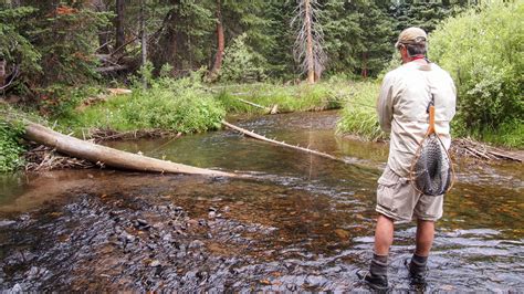 5 Tips For Fly Fishing Colorados Wild Rivers Sage Outdoor Adventures