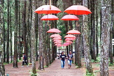 Peningkatan produktivitas hutan (pusprohut), sebagai pengelola kawasan . Proposal Pengelolaan Hutan Sebagai Tempat Wisata - Atdrivesix