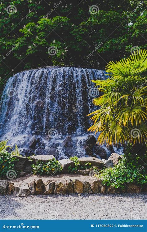 Small Waterfall With Palm Tree In Public Garden Stock Photo Image Of