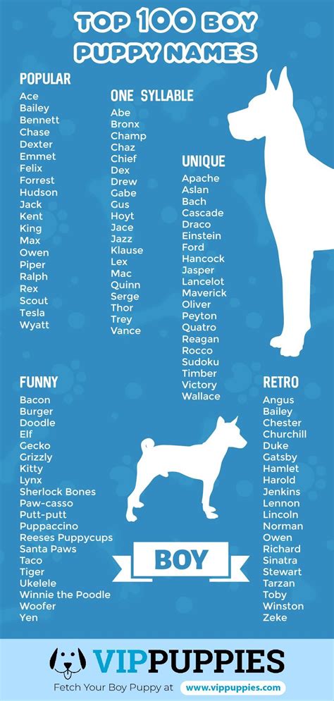 Puppy Names For Boys 1000 Fantastic Name Ideas Vip Puppies