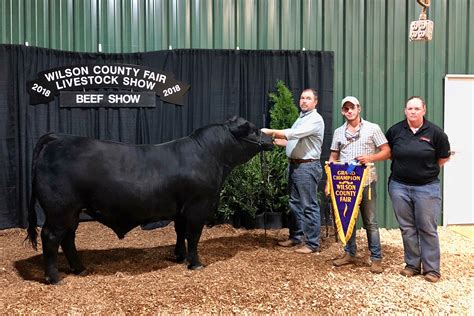 Apsu Beef Cattle Show Team Places With Bull ‘frank The Tank