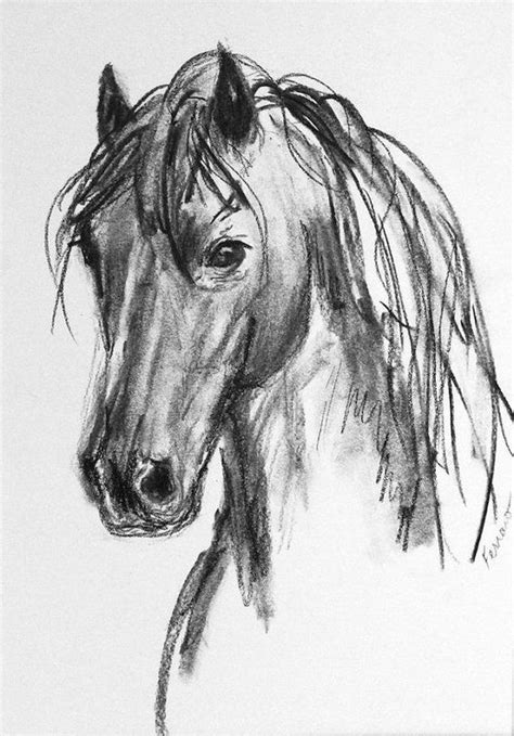 50 Farm Animals Drawing Ideas Art Charcoal Drawing Easy Charcoal
