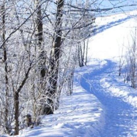 Prince george, bc v2l 2c2 canada phone: Prince George, Canada | Prince george, Outdoor fun ...