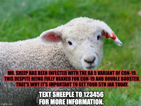 Sheeple Imgflip