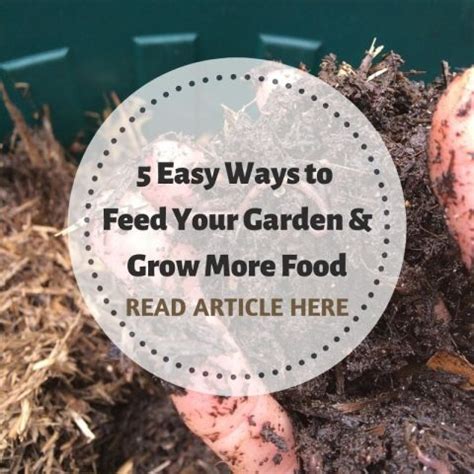 5 Easy Ways To Feed Your Garden And Grow More Food Soil To Supper