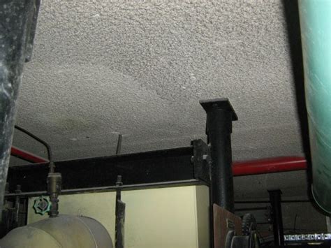 Viewing — before we get to the easy part of actually painting your walls and ceilings, first we must arrange a viewing of. Asbestos testing for vermiculite ceilings | Asbestos ...
