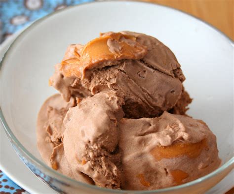 Chocolate Peanut Butter Ice Cream Low Carb And Gluten Free All Day