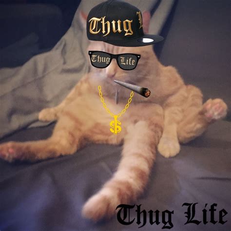 Caligula Thug Life Funny Animals Cats