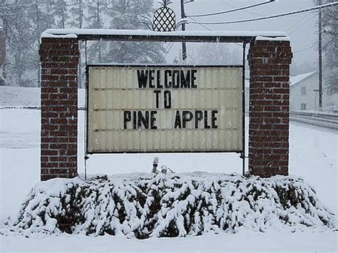 Pine Apple Promotions Pine Apple Alabama