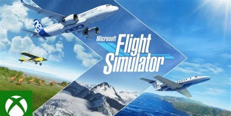 Microsoft Flight Simulator A Successful Flight Simulator Landing On