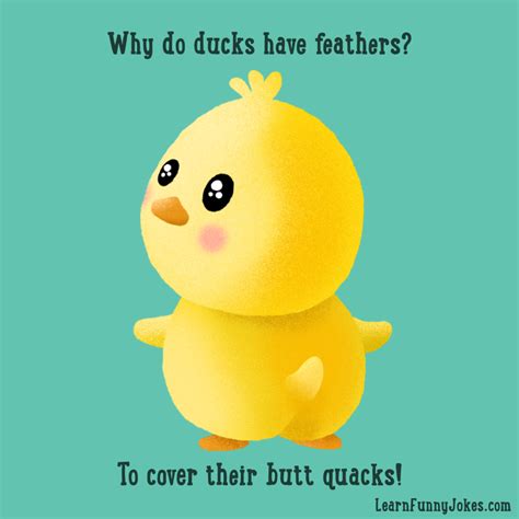 Why Do Ducks Have Feathers To Cover Their Butt Quacks — Learn Funny Jokes