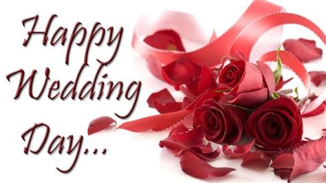 Happy Wedding Day Greetings And Cards Images Marriage Wishes Happy