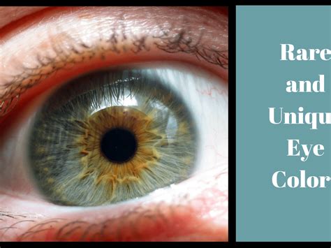 Iris Eye Color Online Discount Save 59 Jlcatjgobmx