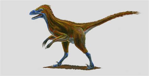 Three New Raptor Dinosaurs Discovered In Utah Paleontology Sci
