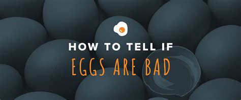 How To Tell If Eggs Are Bad Sauders Eggs