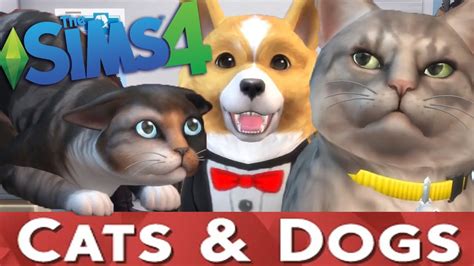 The Sims 4 Cats And Dogs Expansion Pack Trailer Thoughts And Discussion