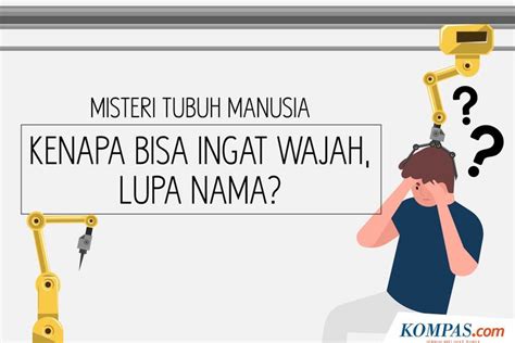 INFOGRAFIK Misteri Tubuh Manusia Kenapa Bisa Ingat Wajah Lupa Nama