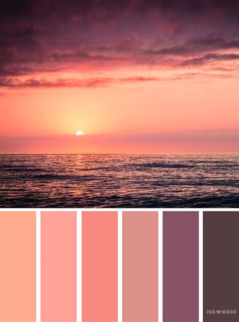 Library palette peach color 2. Color palettes inspired by sky | Sunset color palette ...