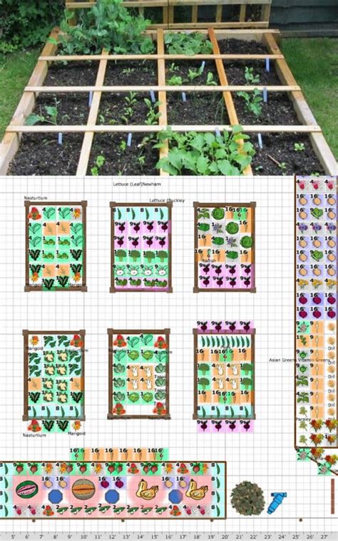 Vegetable Garden Plan Square Foot All About Hobby