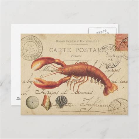Vintage Lobster And Seashells Postcard Zazzle