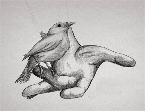 Check spelling or type a new query. 9+ Bird Drawings, Art Ideas | Free & Premium Templates