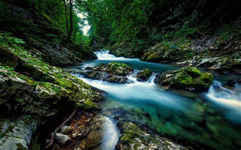 20 Beautiful Vintgar Gorge Photos To Inspire You To Visit Slovenia