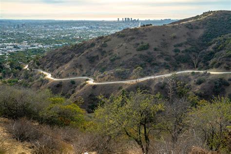 Runyon Canyon Park In Los Angeles Explore The Beauty Of Los Angeles
