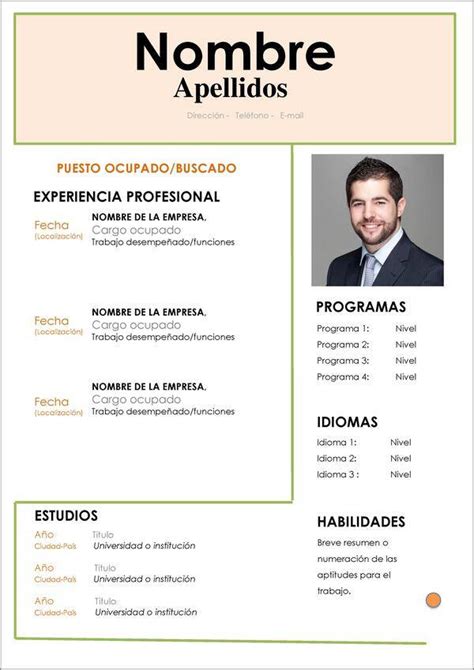 Pdf Word Curriculum Vitae Para Llenar Template For U