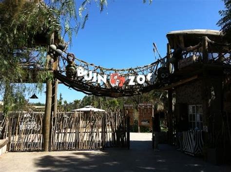 Zoo nos invita a recorrer el gigantesco aviario tropical de la jungla maya, donde conocerás más. Buin zoo chile: ubicación, atracciones y todo lo que ...