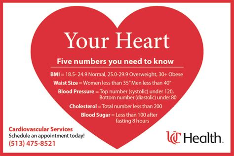 Your Heart Five Numbers To Know Heart Pulmonary And Vascular Services