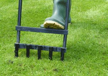 We did not find results for: When to Aerate Your Lawn | Your Landscapers NEPA