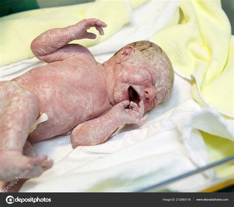 Newborn Child Seconds And Minutes After Birth Cute Tiny New Born Baby
