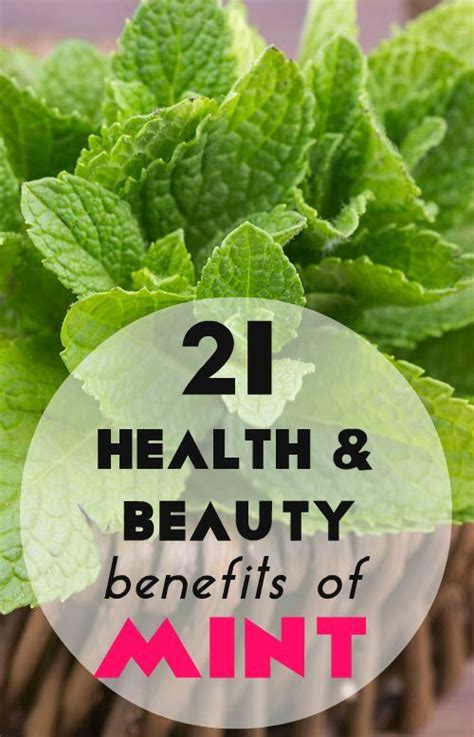 Check Out These Health And Beauty Benefits Of Mint For Your Skin And