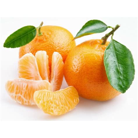 Citrus Reticulata Tangerine 柑橘 Hesperidium Fruit 柑果 Malaysia Plant