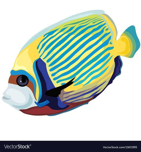 Yellow And Blue Striped Tropical Fish Isolated Vector Image
