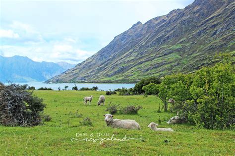 (taiwan, hong kong, singapore) new zealand (an archipelago and country in oceania). 紐西蘭旅遊重要景點整理，初步認識紐西蘭，它比你想像的更美 @ Dribs & Drabs 點點 滴滴 :: 痞客邦