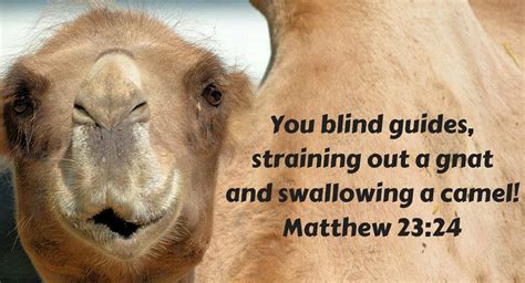 Strain at a gnat and swallow a camel. Swallowing a Camel: Legalism and Thermostats