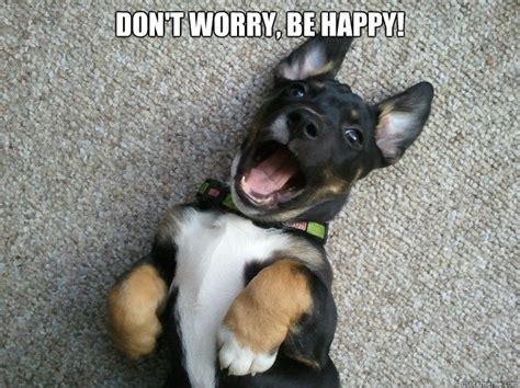 Don't worry, don't worry, don't do it, be happy let the smile on your face don't bring everybody down like this. Don't worry, be happy! - Happy Puppy - quickmeme