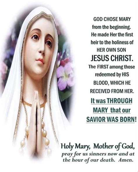 Pin By Alice Dsouza On Blessed Virgin Mary Blessed Virgin Mary Holy