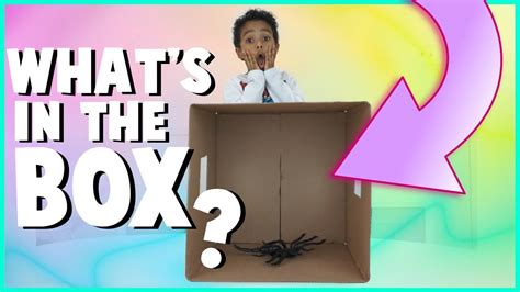 What S In The Box Challenge Youtube